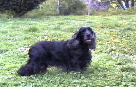 Egy el�gedett p�ciens: Arthur