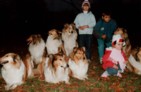 "L" alom 1992. november